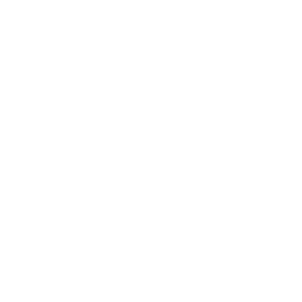 Logo INTI